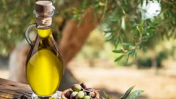 تصویر 2 از قیمت روغن زیتون مخصوص پخت و پز + خرید باور نکردنی